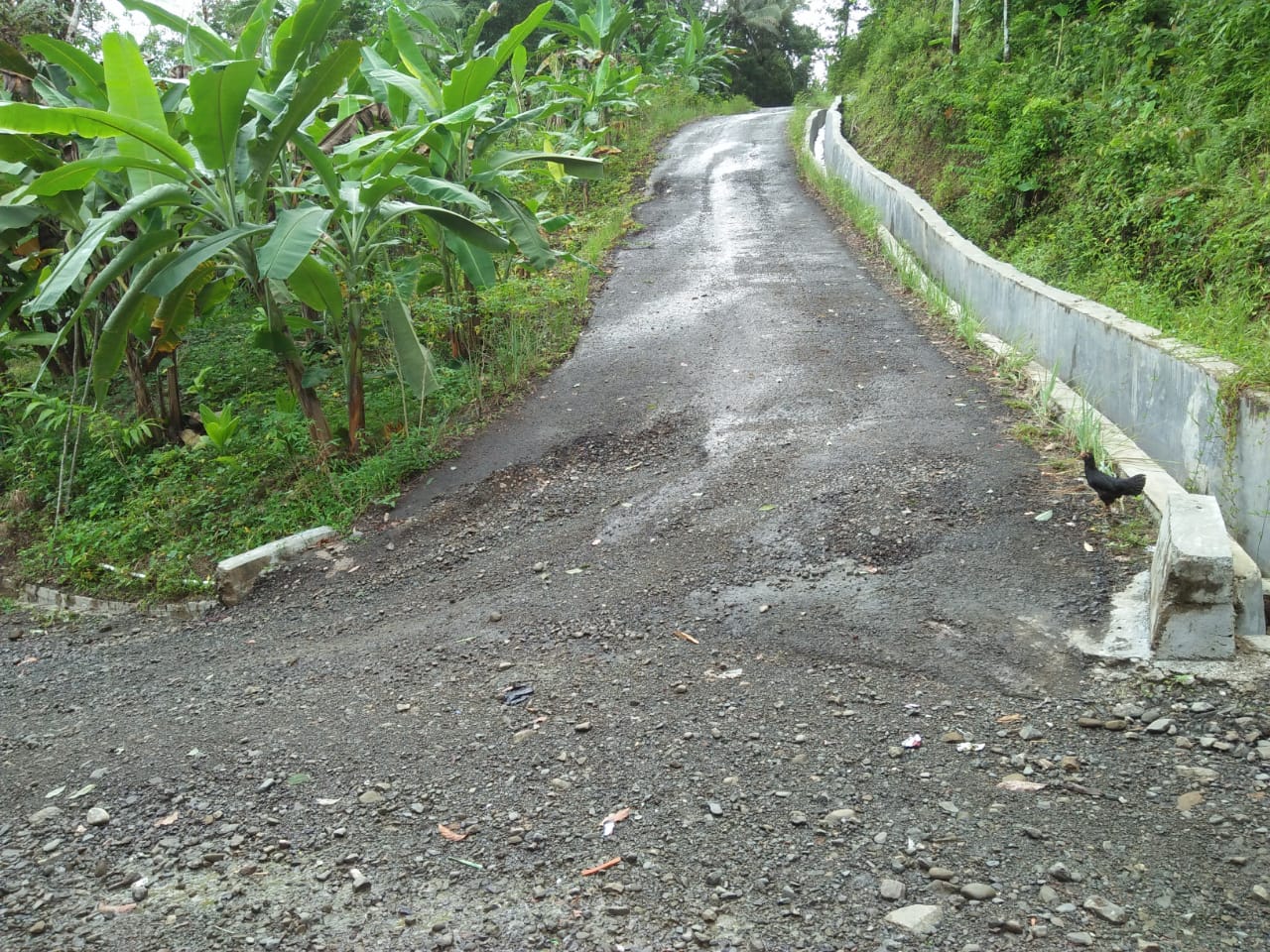 IMG-20201014-WA0119.jpg